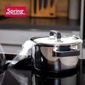 Spring Fusion2+ Steelpan 16 cm (online) kopen? | OnlinePannen.nl